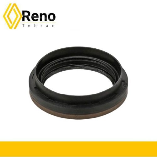 کاسه نمد چپ پلوس مگان اصلی