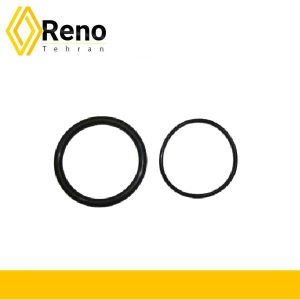 اورینگ دریچه گاز رنو سیمبل